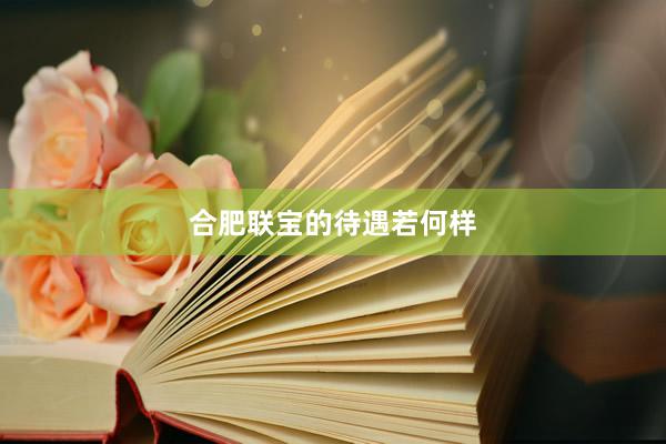 合肥联宝的待遇若何样