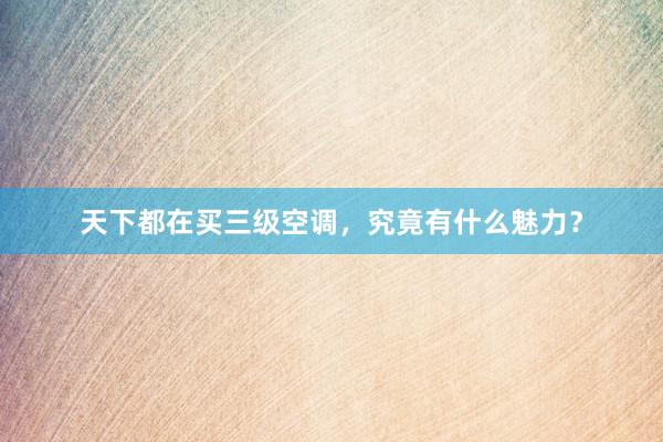 天下都在买三级空调，究竟有什么魅力？